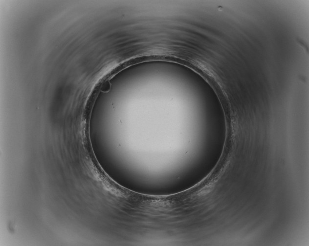 X0000103411029200809191540