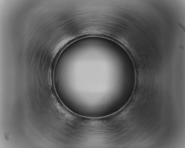 X0000103411030200809191540