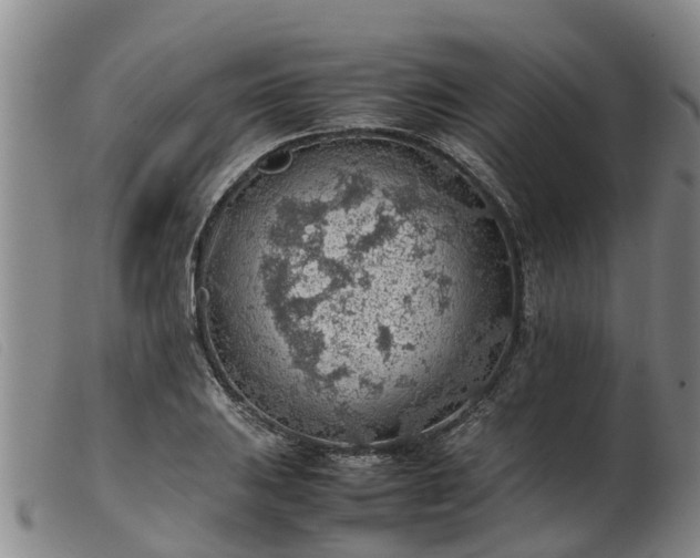 X0000103411031200809191540