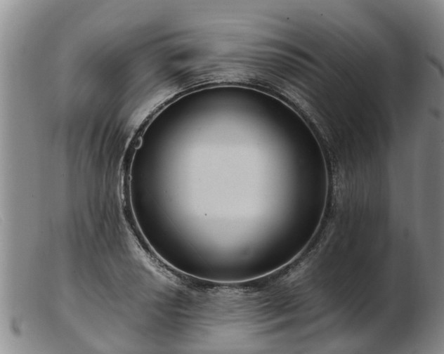 X0000103411034200809191540