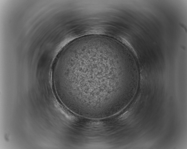 X0000103411035200809191540