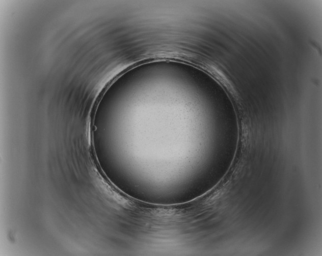 X0000103411036200809191540