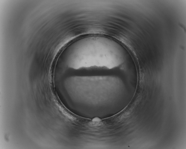 X0000103411037200809191540