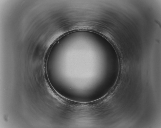 X0000103411038200809191540