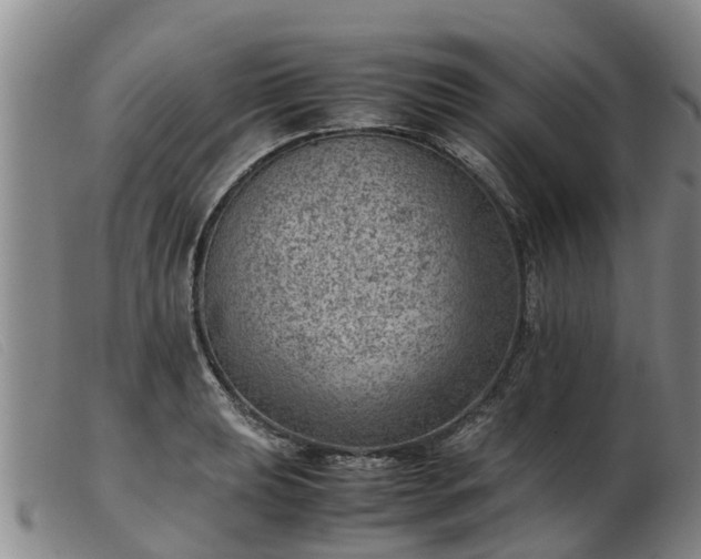 X0000103411039200809191540