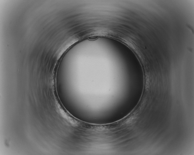 X0000103411042200809191540