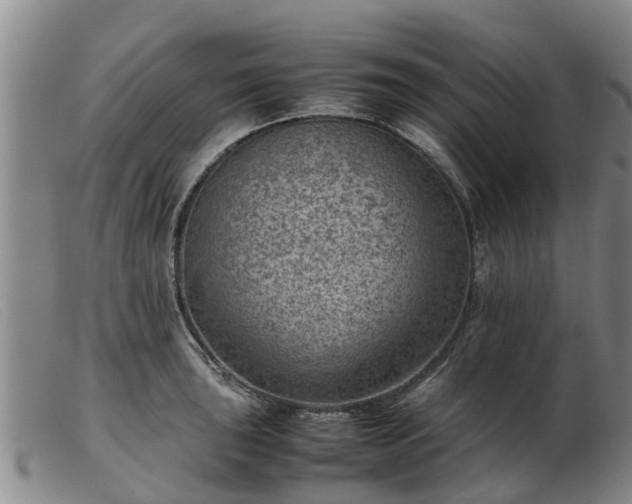 X0000103411043200809191540