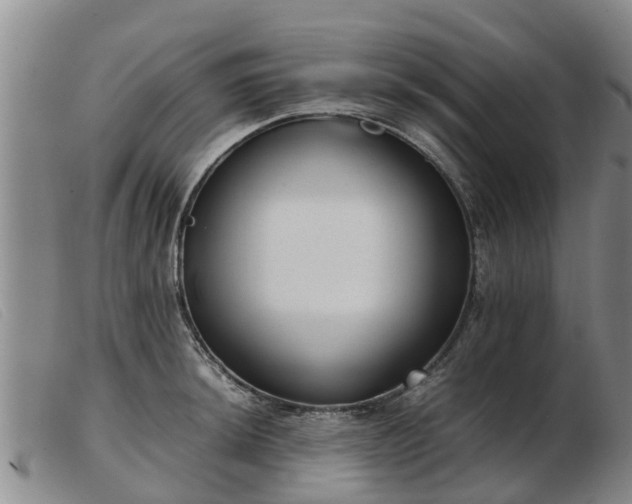 X0000103411044200809191540