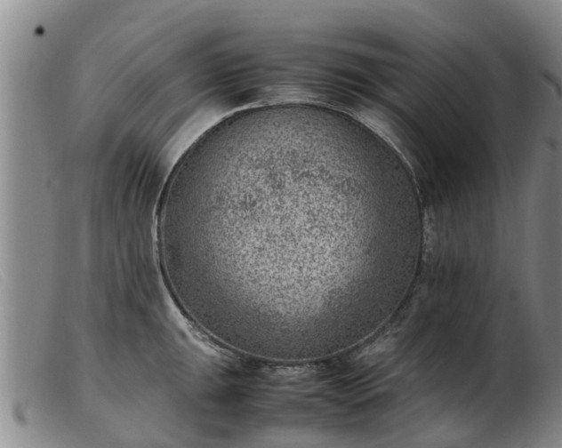 X0000103411047200809191540