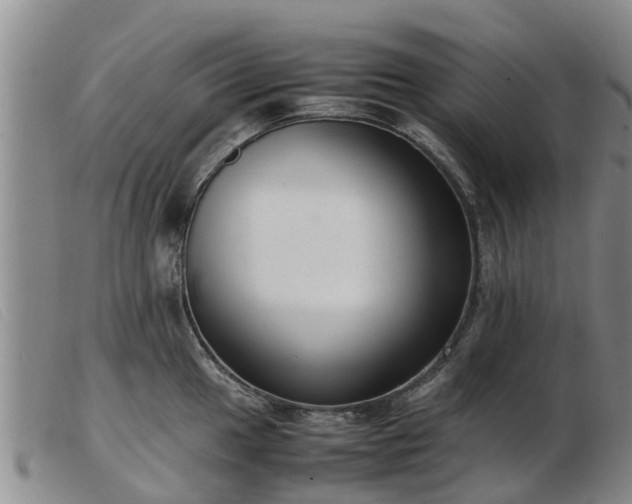 X0000103411049200809191541