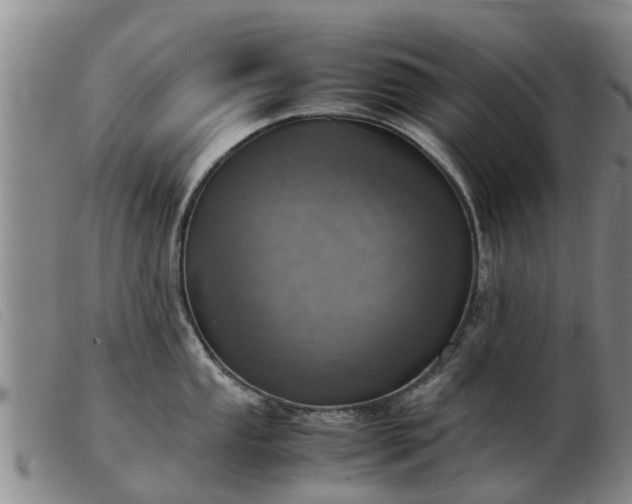 X0000103411053200809191541