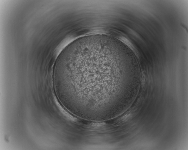 X0000103411055200809191541