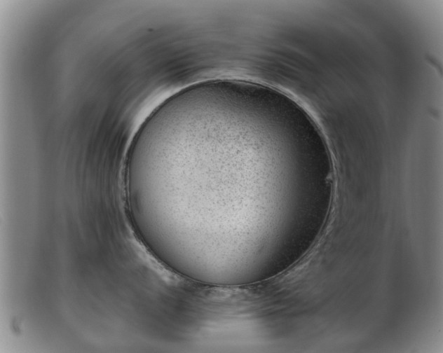 X0000103411056200809191541