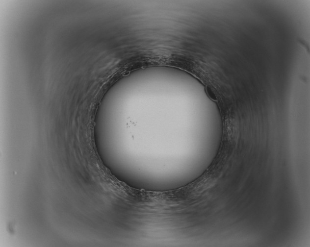 X0000103411057200809191540