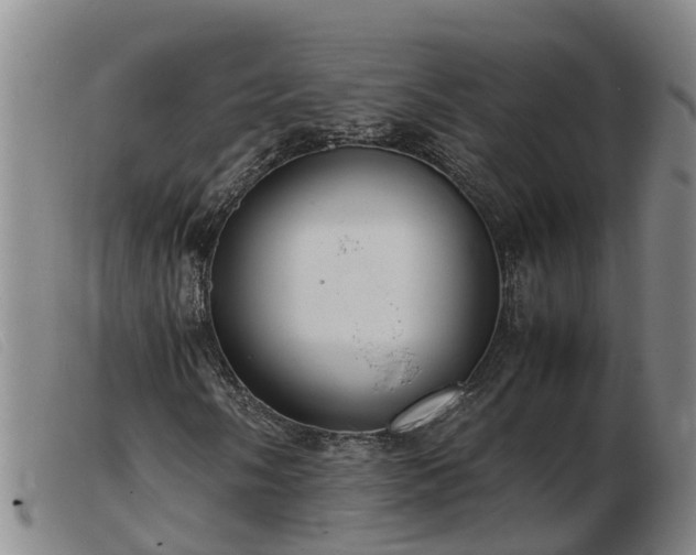 X0000103411058200809191540