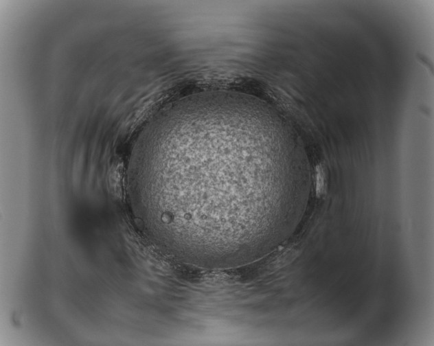 X0000103411059200809191540