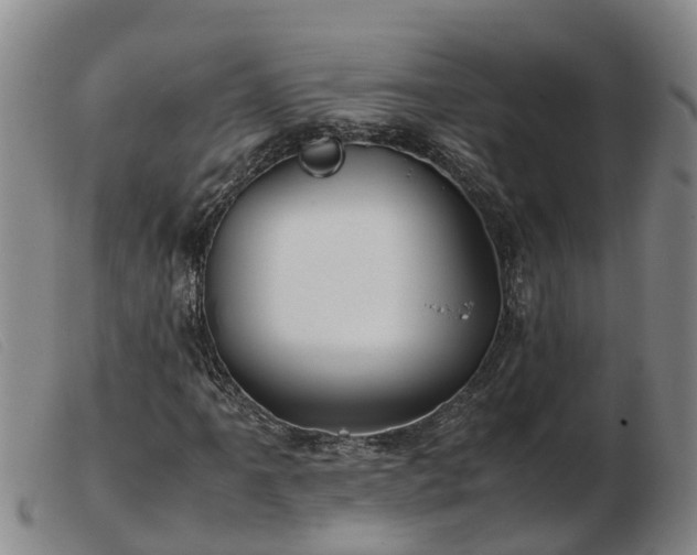 X0000103411061200809191540