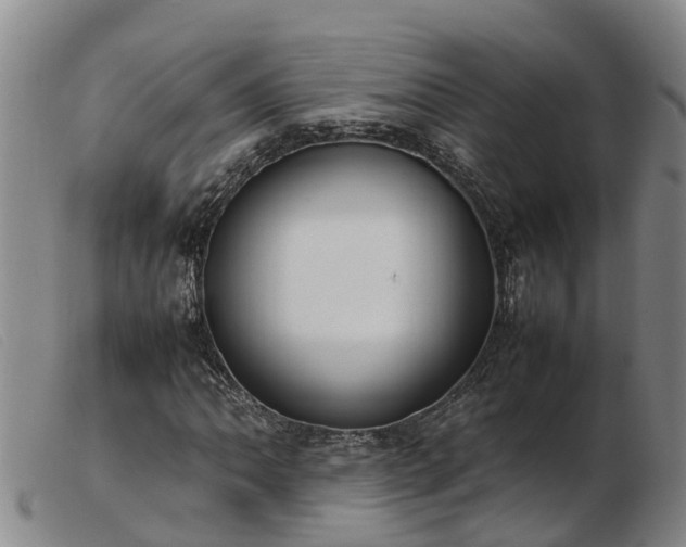 X0000103411062200809191540