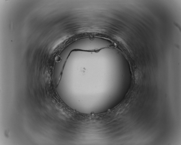 X0000103411064200809191540