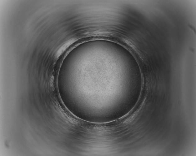 X0000103411066200809191540