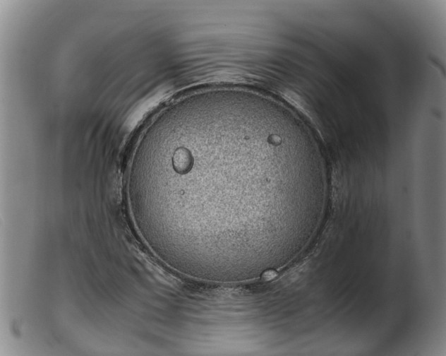 X0000103411067200809191540