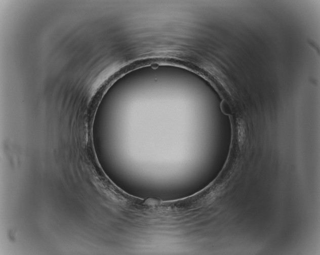 X0000103411069200809191540