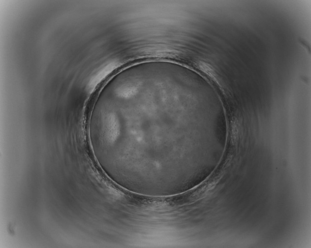 X0000103411071200809191540