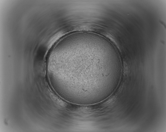 X0000103411075200809191540