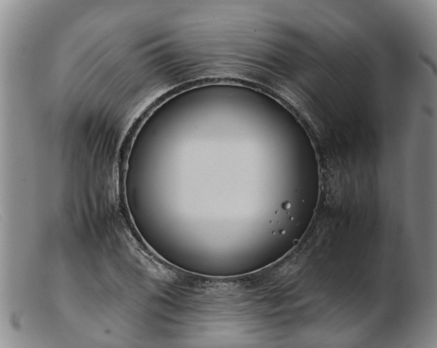 X0000103411076200809191540