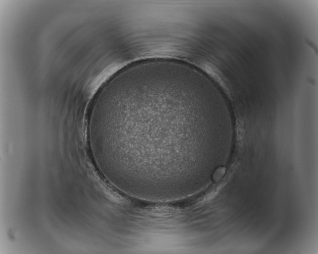 X0000103411077200809191539