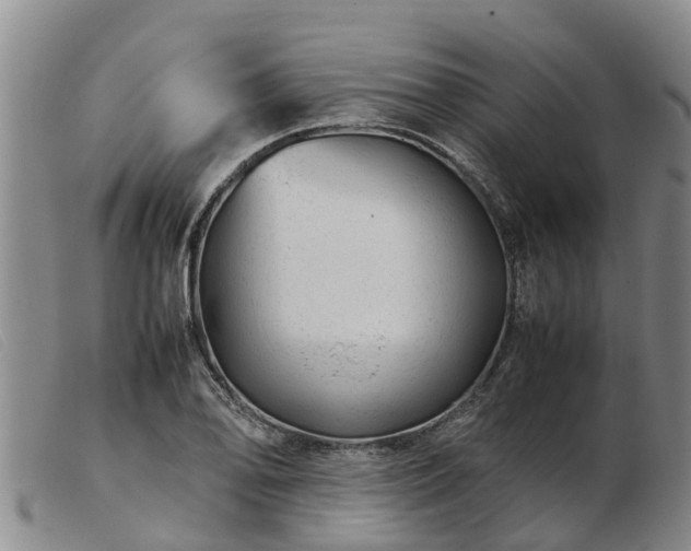 X0000103411078200809191539