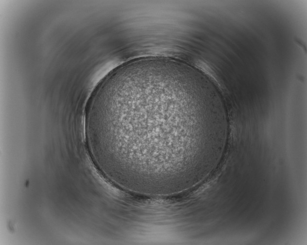 X0000103411079200809191539