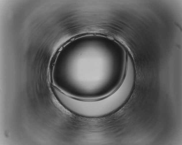 X0000103411080200809191539