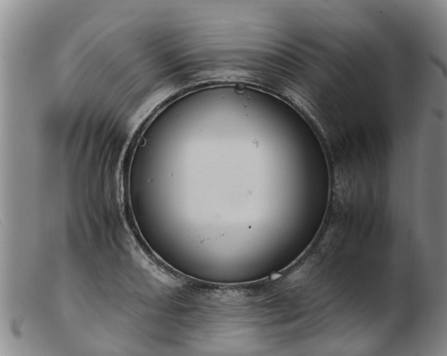 X0000103411082200809191539