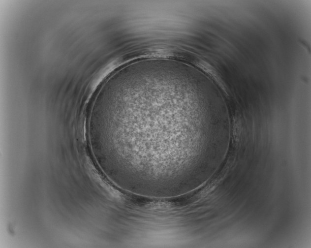 X0000103411083200809191539