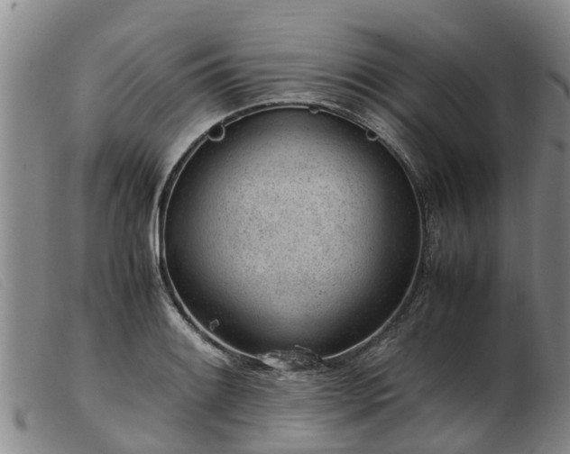 X0000103411084200809191539