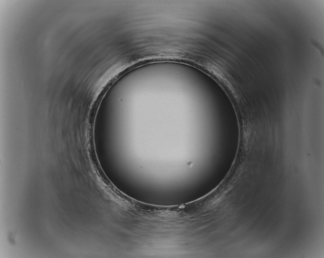 X0000103411085200809191539