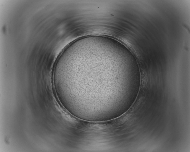 X0000103411086200809191539