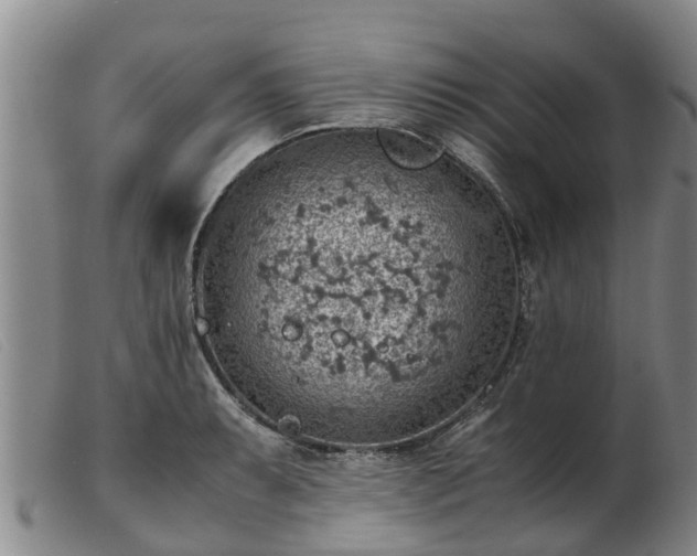 X0000103411087200809191539