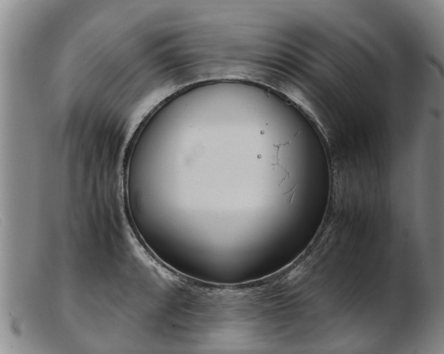 X0000103411088200809191539