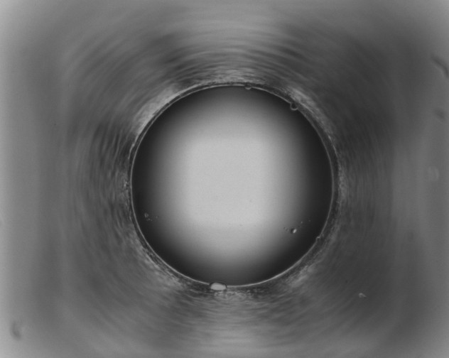 X0000103411089200809191539