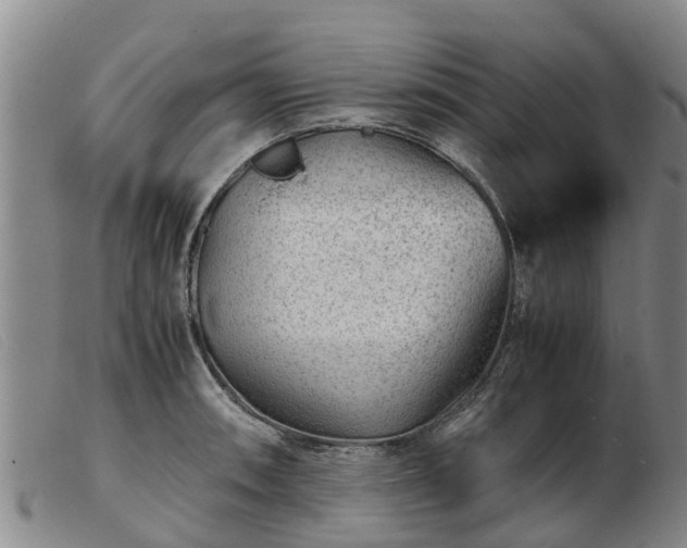 X0000103411090200809191539