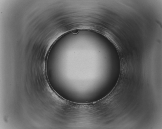 X0000103411092200809191539