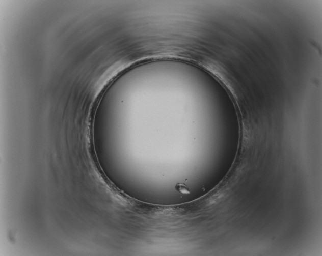 X0000103411093200809191539