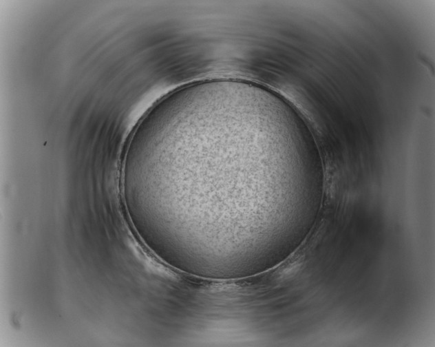 X0000103411094200809191539