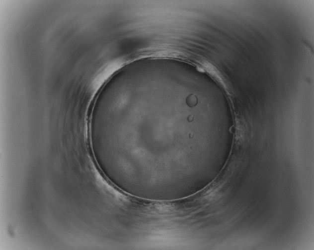 X0000103411095200809191539