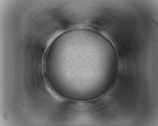 X0000103411098200809191539