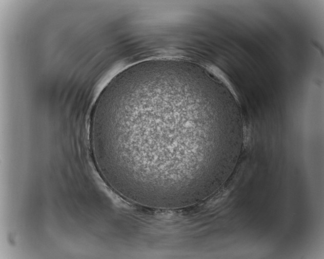 X0000103411099200809191539