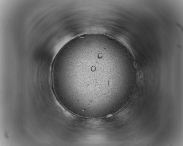 X0000103411103200809191539