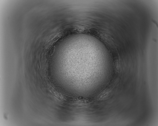 X0000103411105200809191538